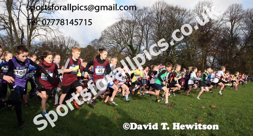 Boys and Girls under-11s 2017 British Athletics Liverpool Cross Challenge, Sefton Park, Liverpool. Photo:  David T. Hewitson/Sports for All Pics